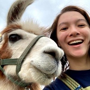 Meet your Posher, Alexia